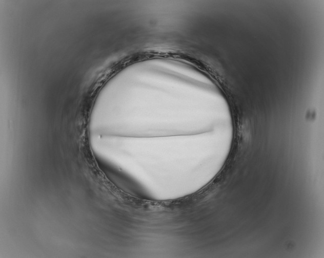 X0000112161398200909041116