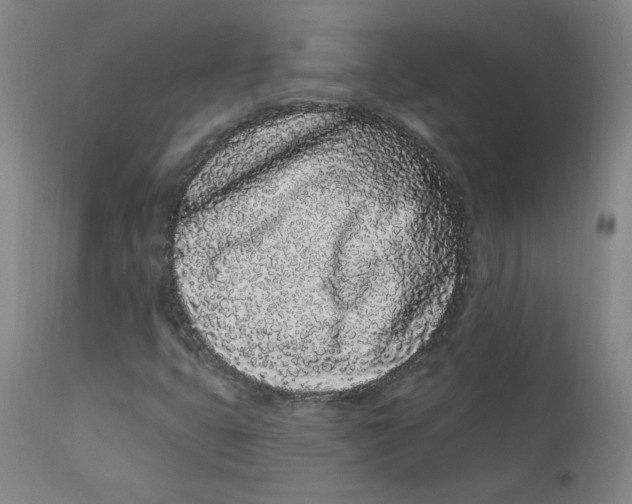 X0000112161399200909041116