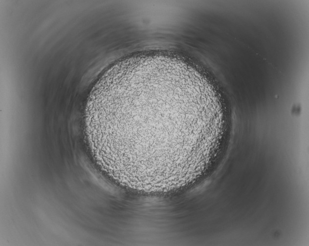 X0000112161401200909041116
