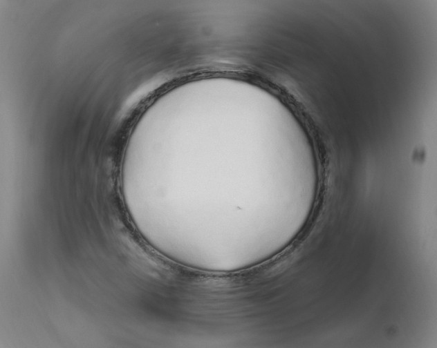 X0000112161402200909041116