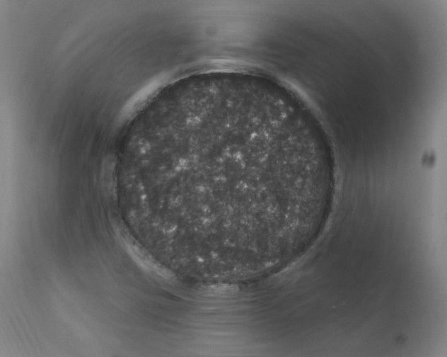 X0000112161403200909041116