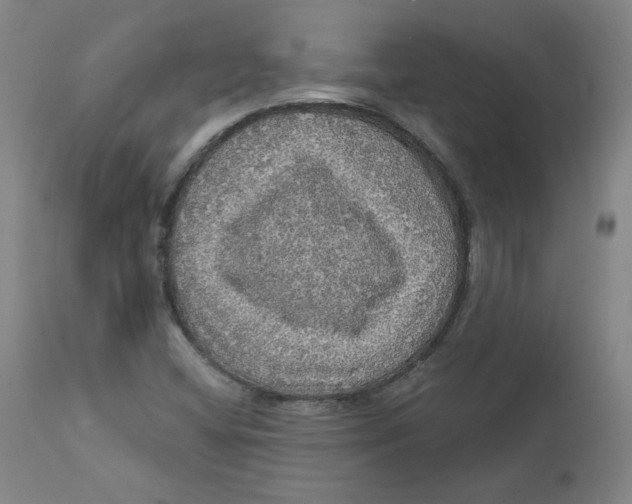 X0000112161404200909041116