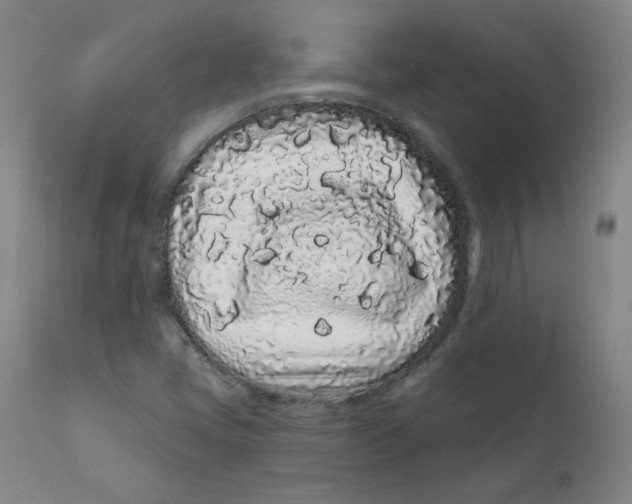 X0000112161405200909041116