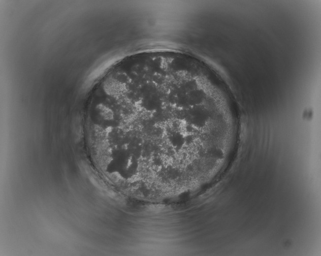 X0000112161407200909041116