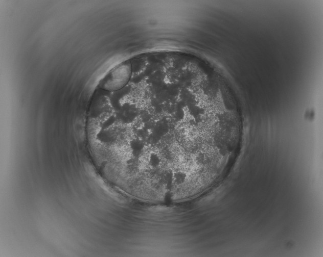 X0000112161409200909041116