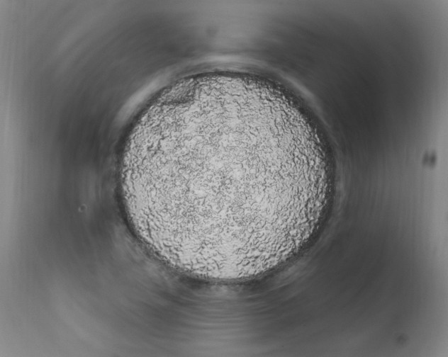 X0000112161411200909041116