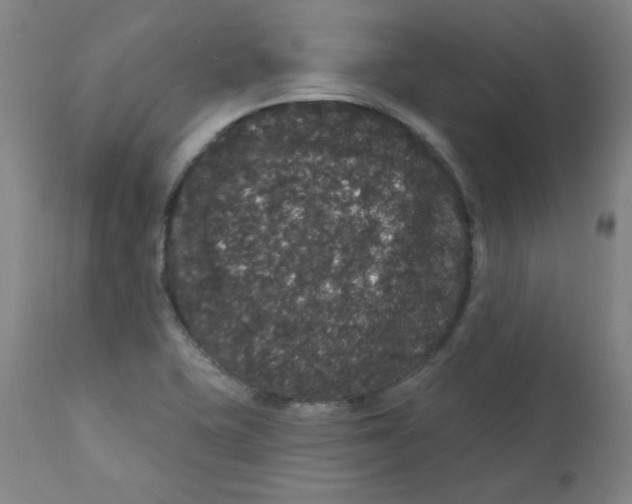 X0000112161415200909041116
