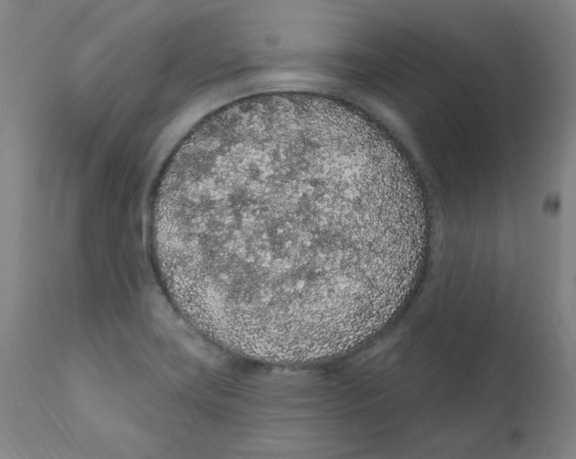 X0000112161419200909041116
