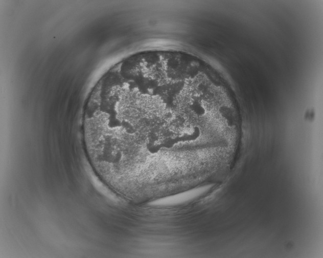 X0000112161421200909041116