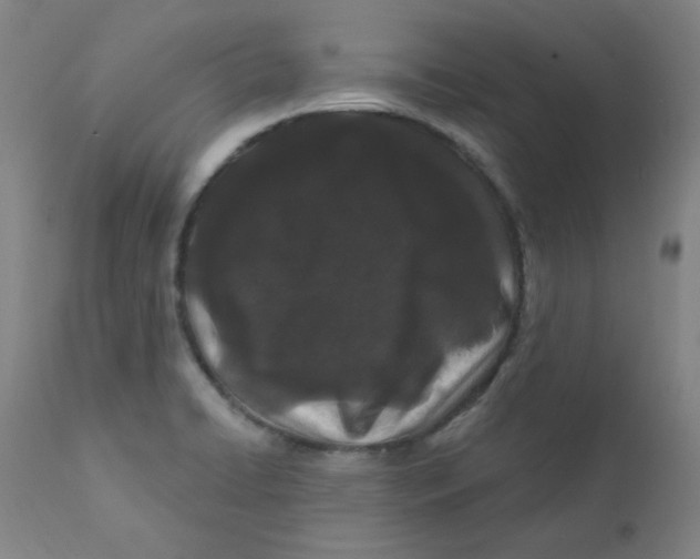 X0000112161422200909041116