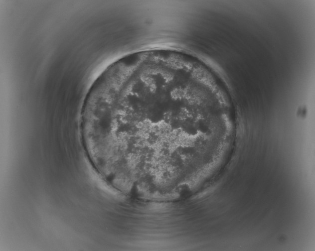 X0000112161423200909041116