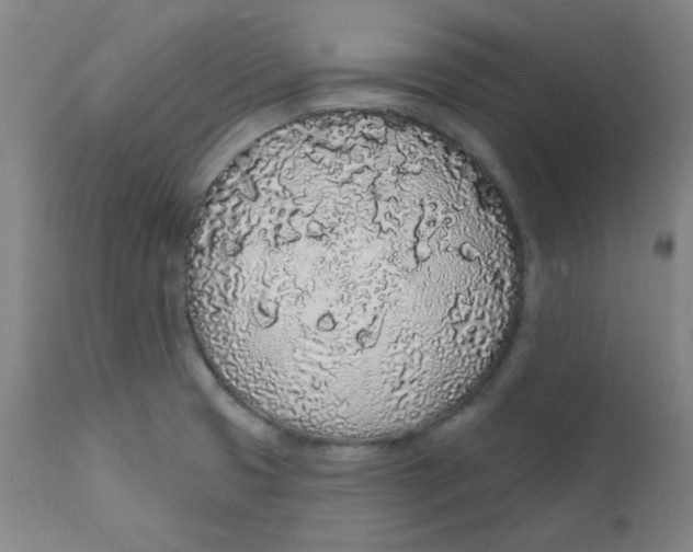 X0000112161425200909041116