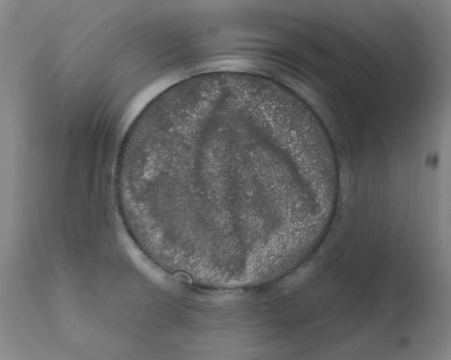 X0000112161426200909041116