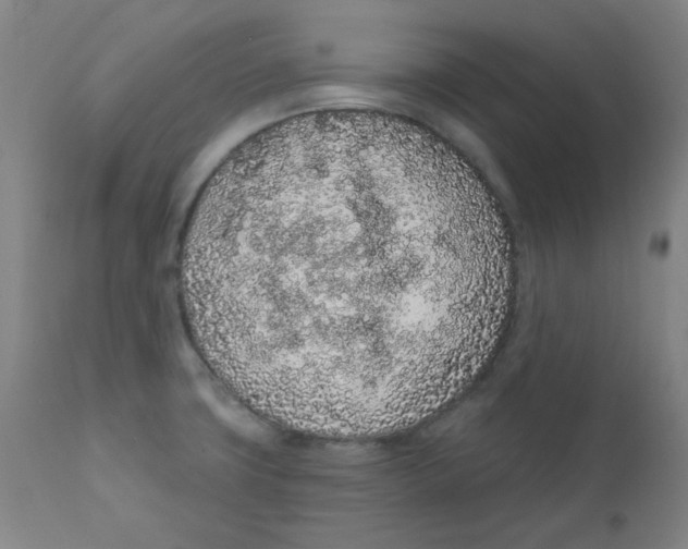 X0000112161427200909041116