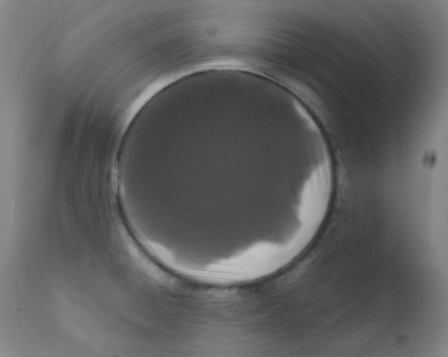 X0000112161428200909041116