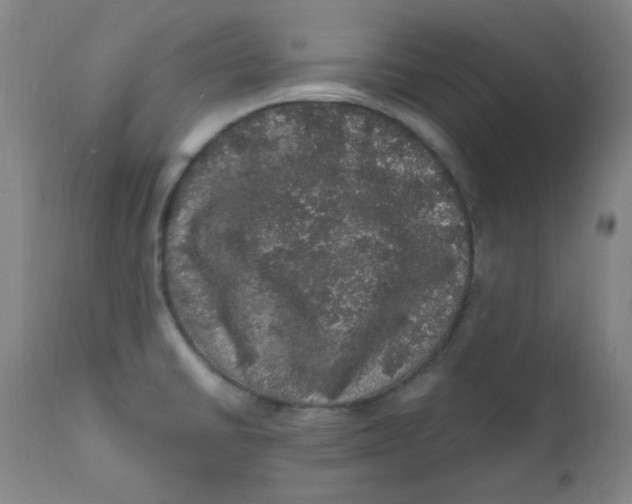 X0000112161430200909041116