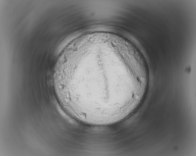 X0000112161433200909041116