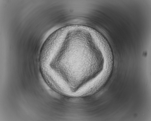 X0000112161434200909041116