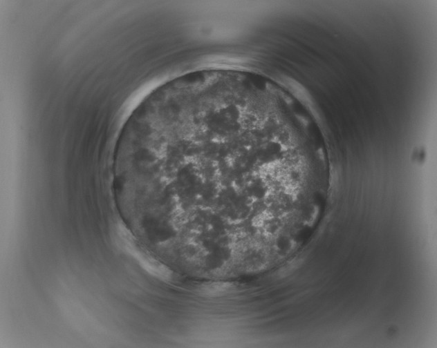 X0000112161435200909041116