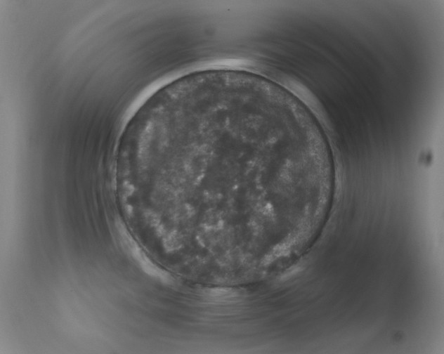 X0000112161436200909041116