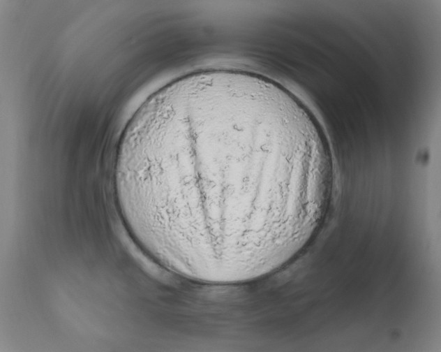 X0000112161437200909041116