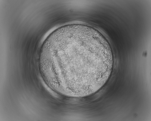 X0000112161438200909041116