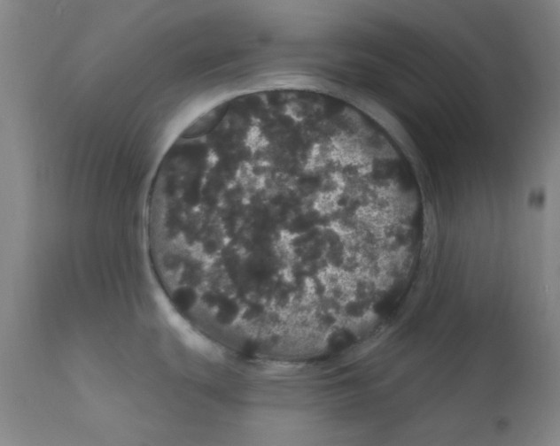 X0000112161439200909041116
