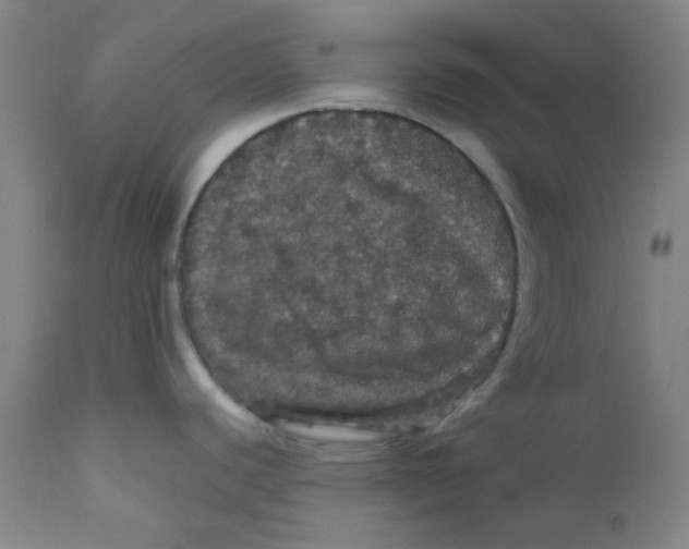 X0000112161440200909041116