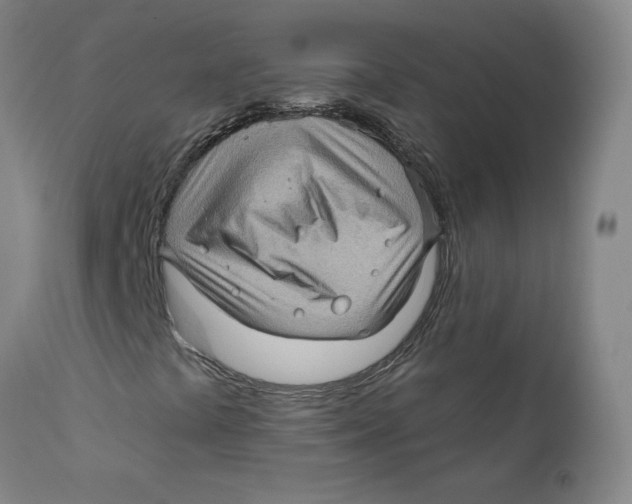 X0000112161441200909041116