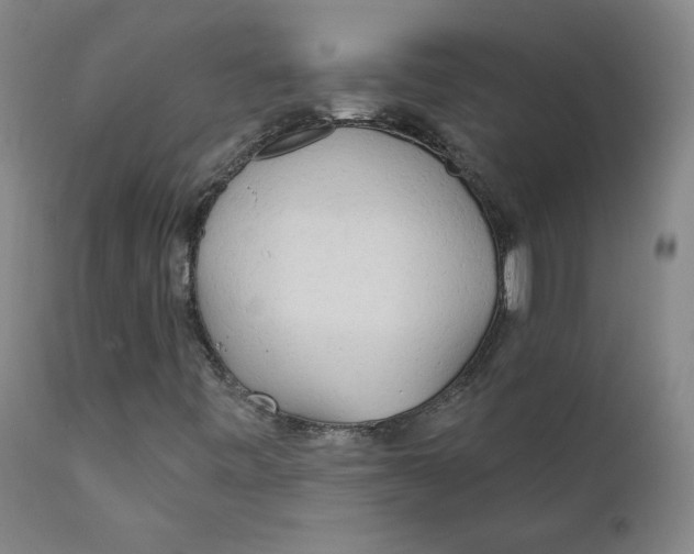 X0000112161443200909041115