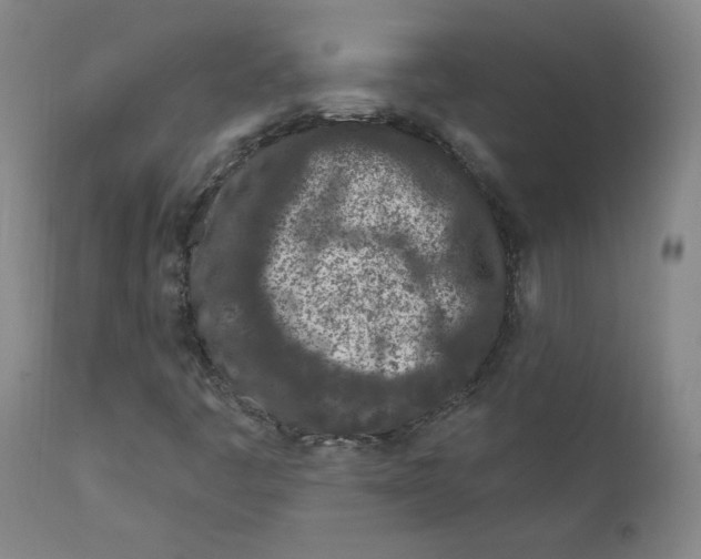 X0000112161445200909041115