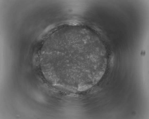 X0000112161446200909041115