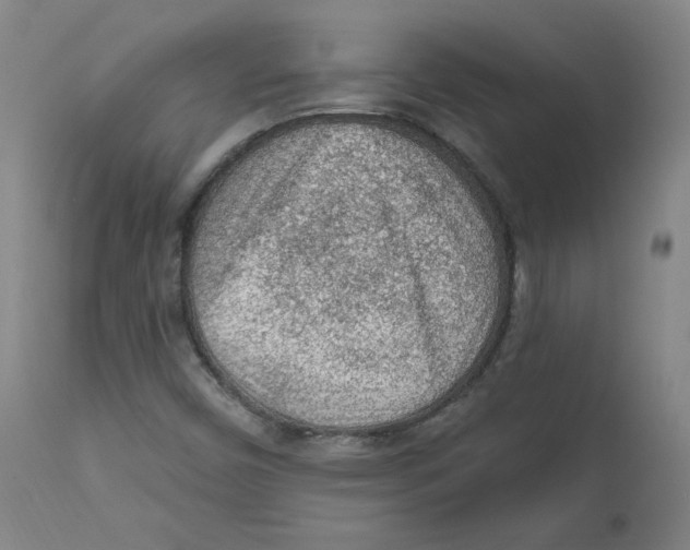X0000112161450200909041115