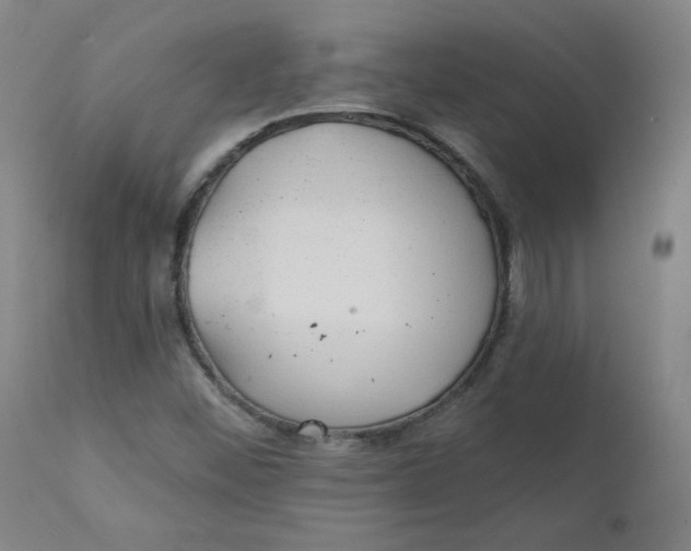 X0000112161452200909041115
