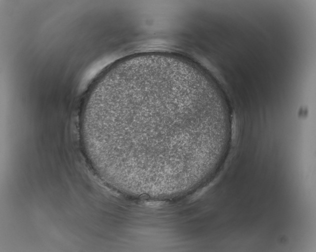 X0000112161453200909041115
