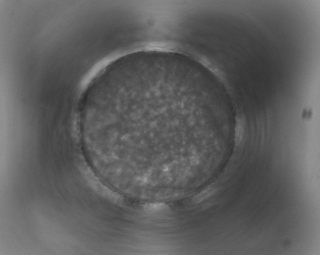 X0000112161454200909041115