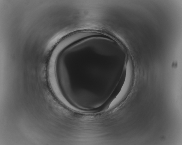 X0000112161455200909041115