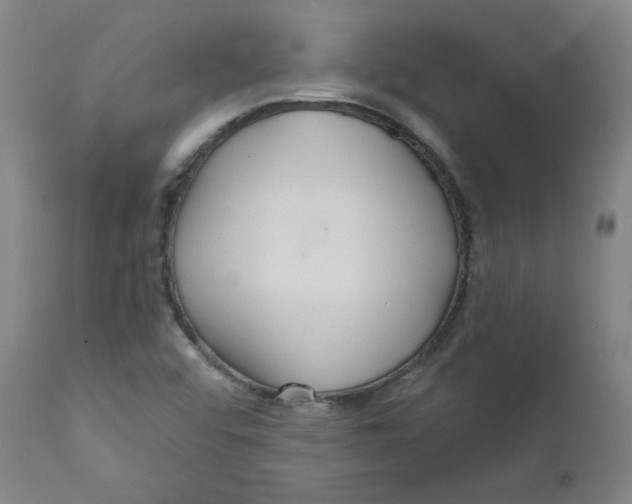 X0000112161456200909041115