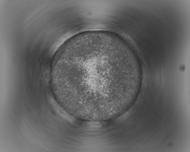X0000112161457200909041115