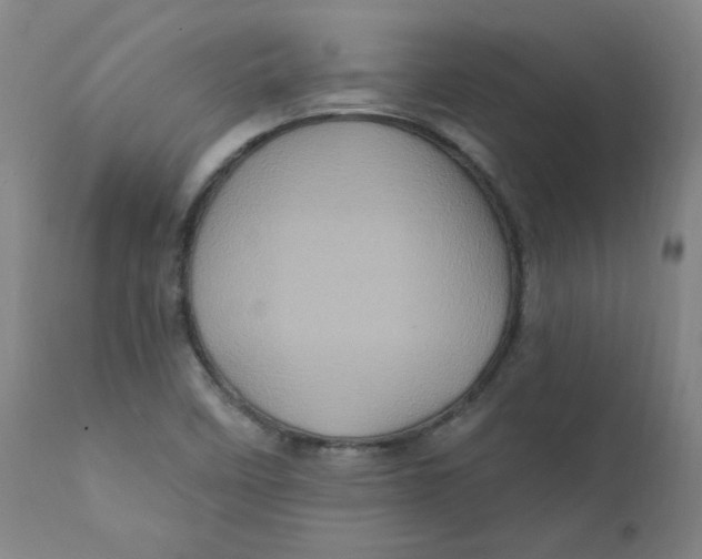 X0000112161458200909041115