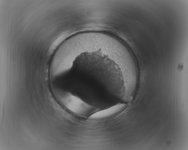 X0000112161459200909041115