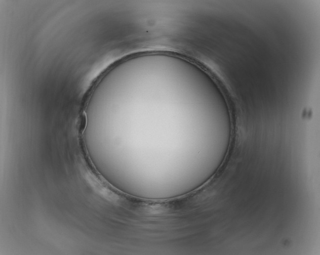 X0000112161460200909041115