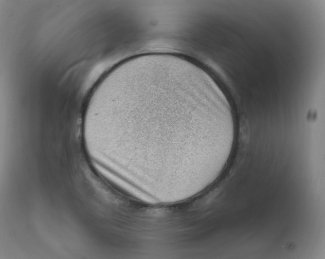 X0000112161461200909041115