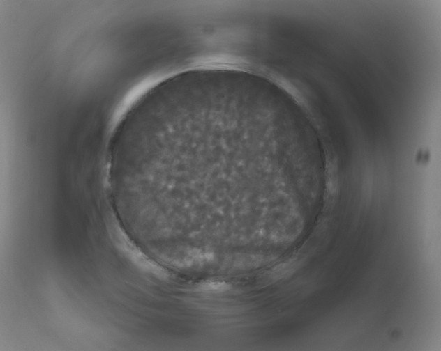 X0000112161462200909041115