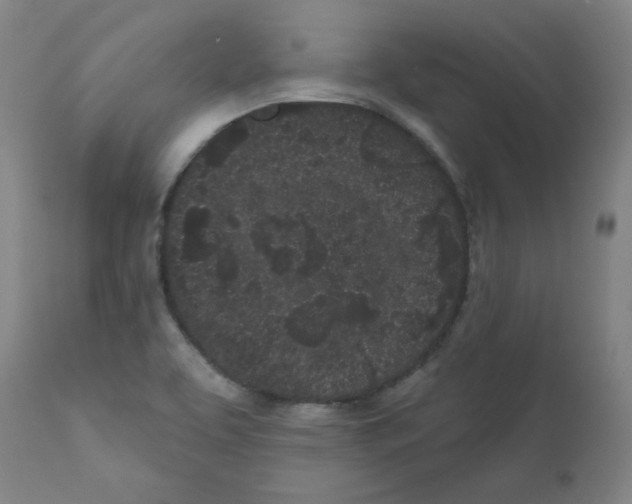 X0000112161463200909041115