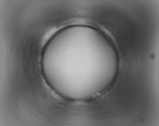 X0000112161464200909041115