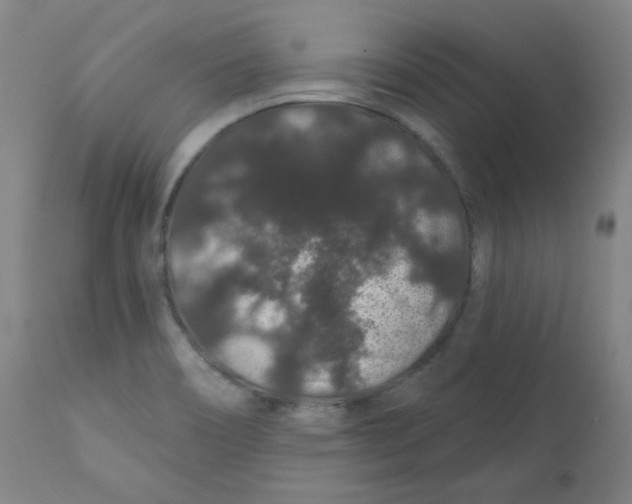 X0000112161466200909041115