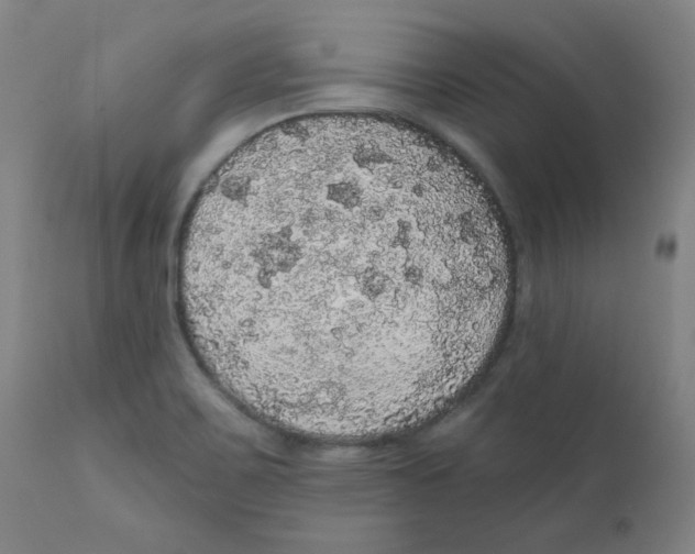 X0000112161467200909041115