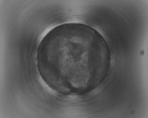 X0000112161468200909041115