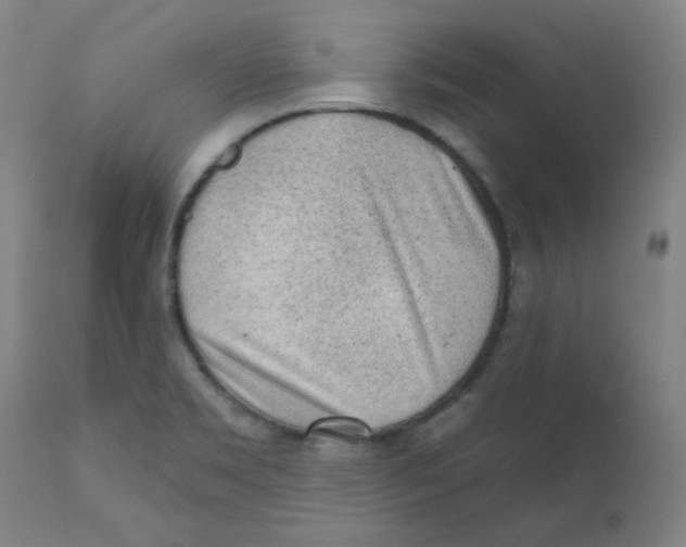 X0000112161469200909041115